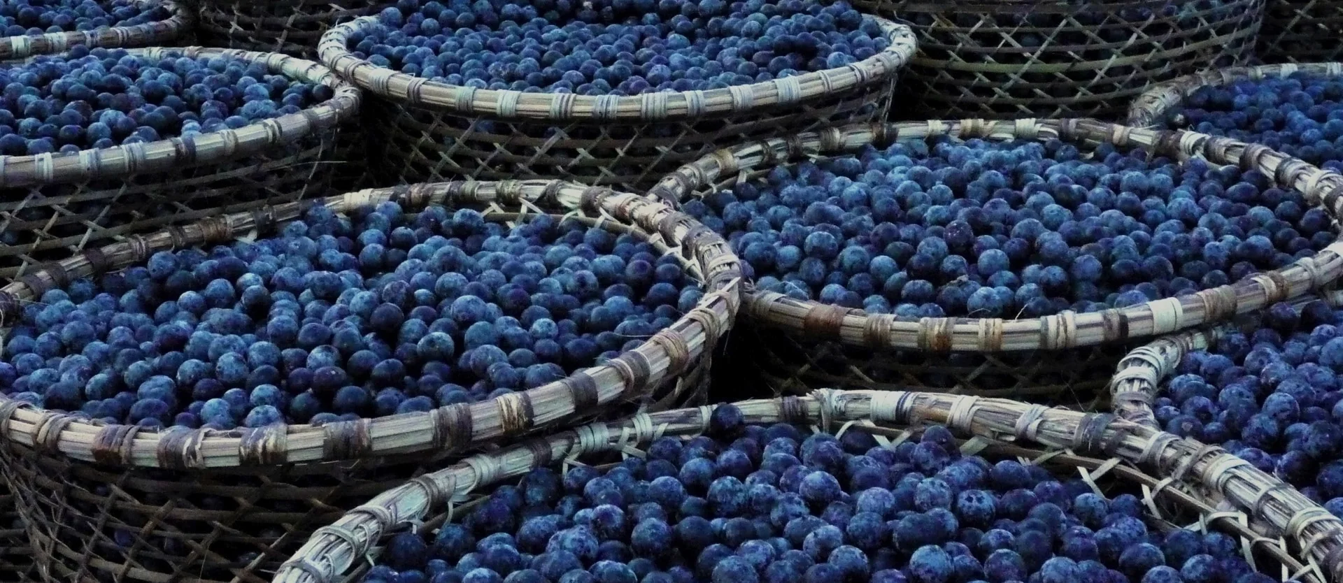 Packaged açaí pulp products in cans ready for distribution